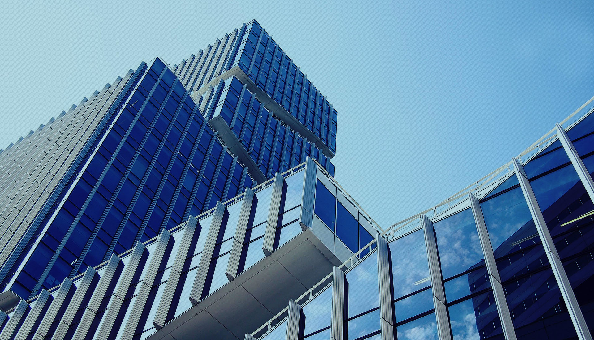 GALLOP GROUP-GOLDEN FUN INTERNATIONAL TRADING CO., LTD.